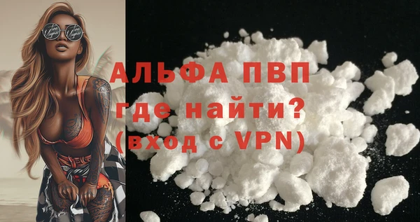 стаф Каменск-Шахтинский