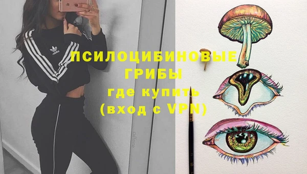 стаф Каменск-Шахтинский