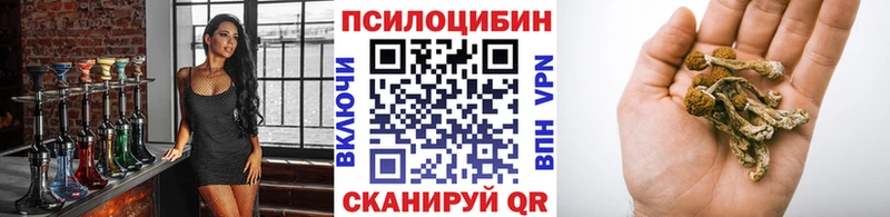 Купить где  Неман  Псилоцибиновые грибы GOLDEN TEACHER 
